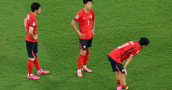 OKFUN cược bóng đá: Hàn Quốc thất vọng World Cup, Nhật Bản vươn xa - hình ảnh - betokfun.vip OKFUN cược bóng đá: Hàn Quốc thất vọng World Cup, Nhật Bản vươn xa - hình ảnh - betokfun.vip