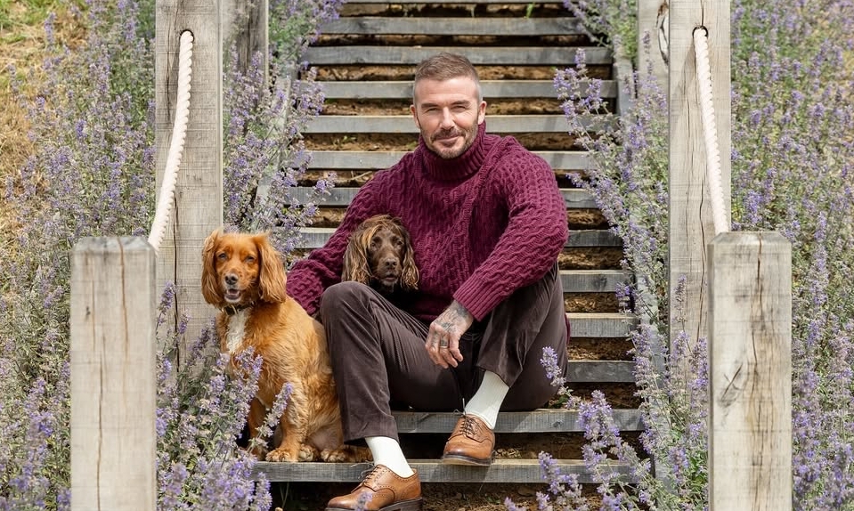 OKFUN thưởng đăng ký – Cảm hứng từ phong cách thời thượng của David Beckham - hình ảnh - betokfun.vip